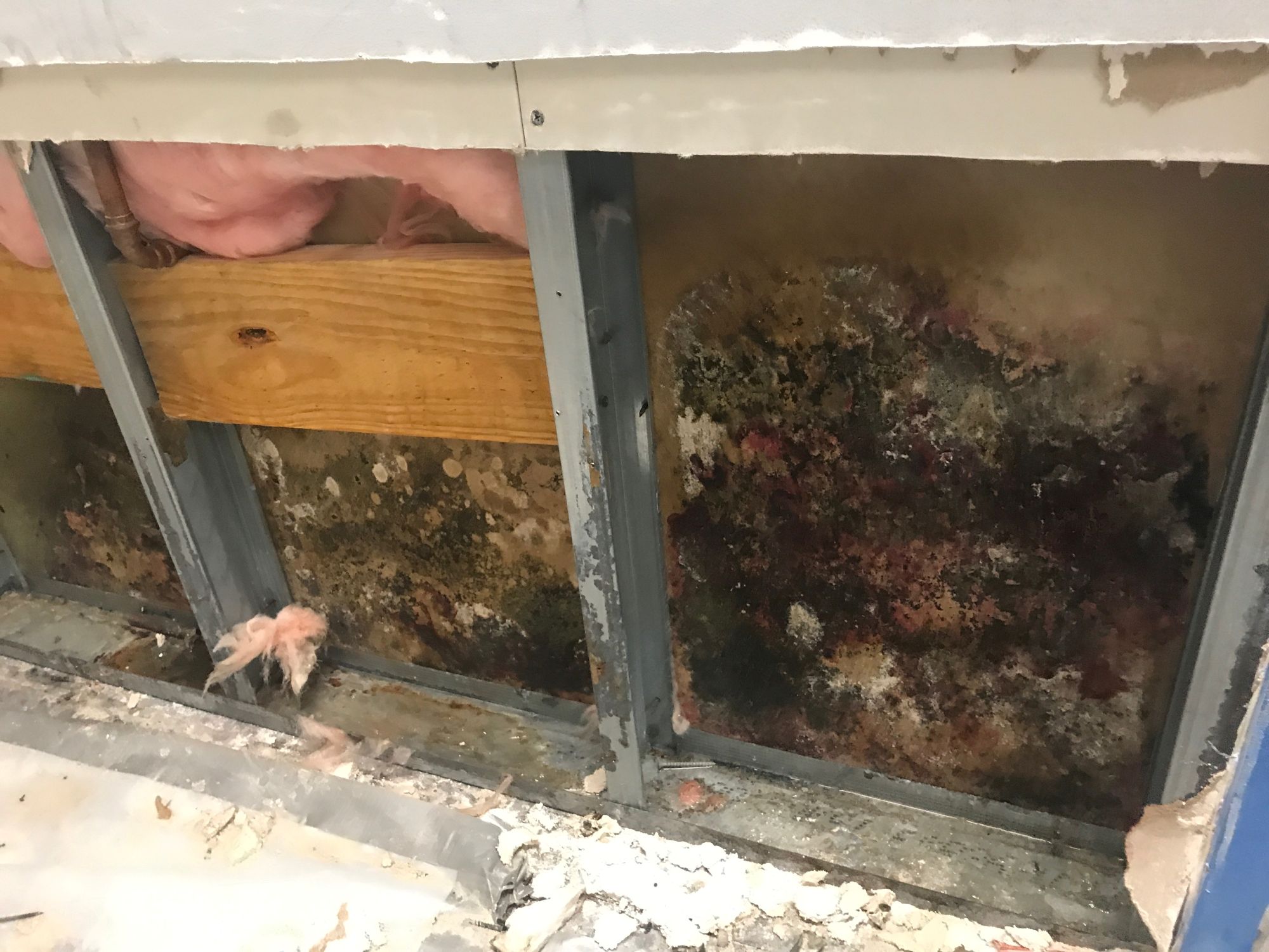 Environmental Restorations, Inc.